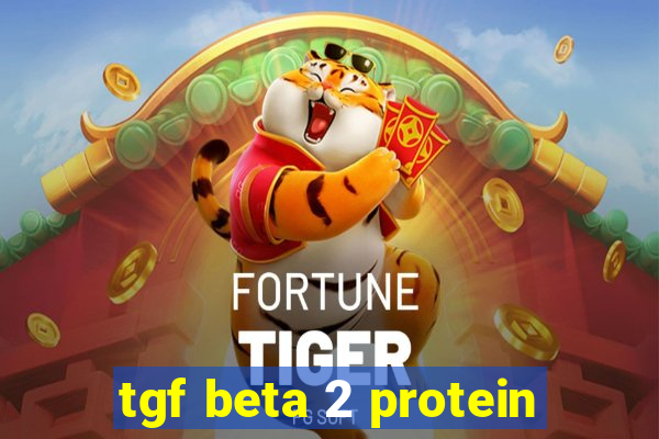 tgf beta 2 protein